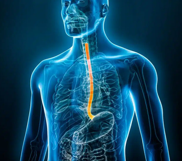 Forest Hills Gastroenterologist