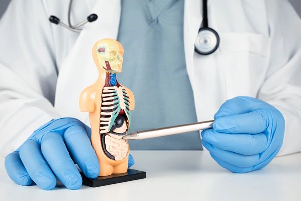 What To Expect When Seeing A Colonoscopy Specialist